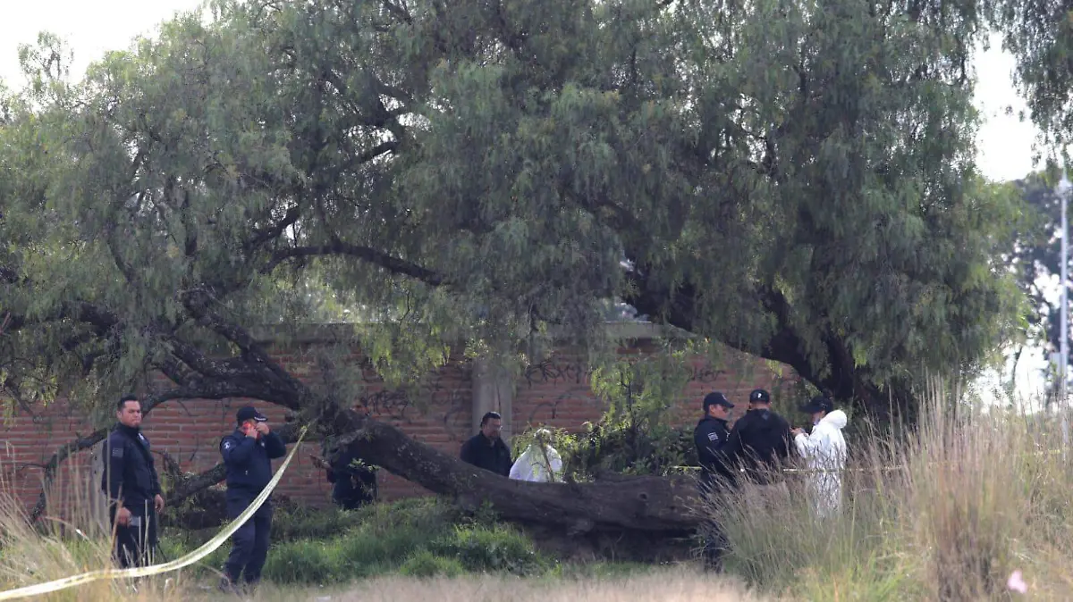 matan y desmembran a ocho en Amozoc, Puebla